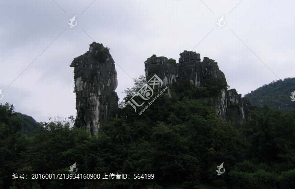 美麗駝峰