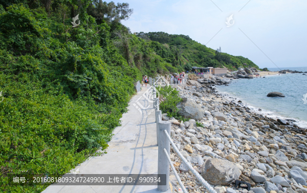 青洲島,棧道,觀景路,小道