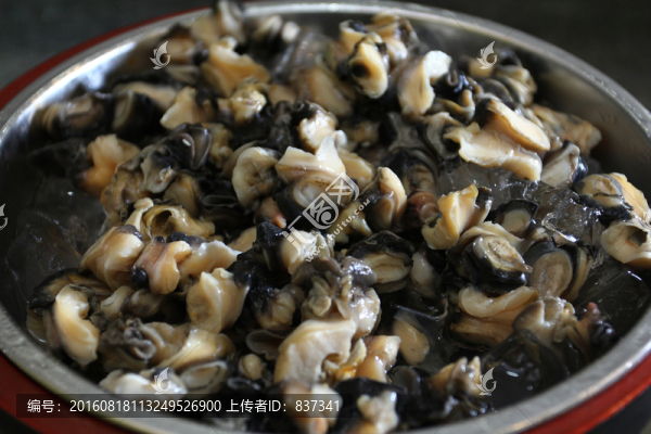 螺肉