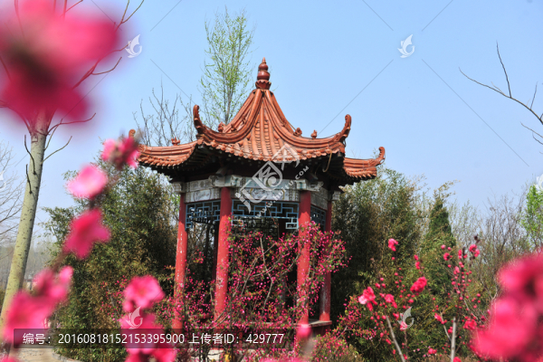 涼亭,亭子