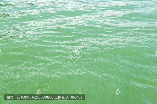 水波紋