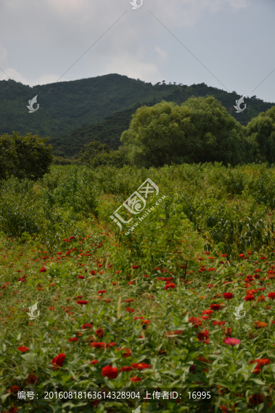花果山