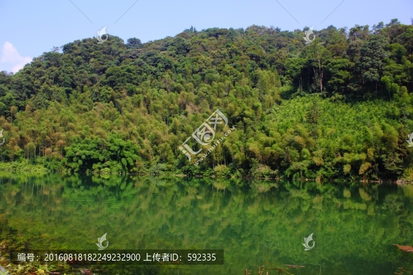 山區(qū)林業(yè)