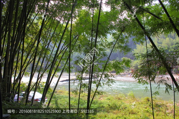 小溪