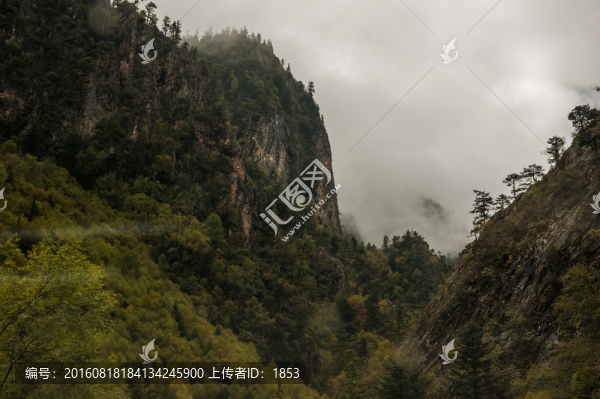 云霧山谷