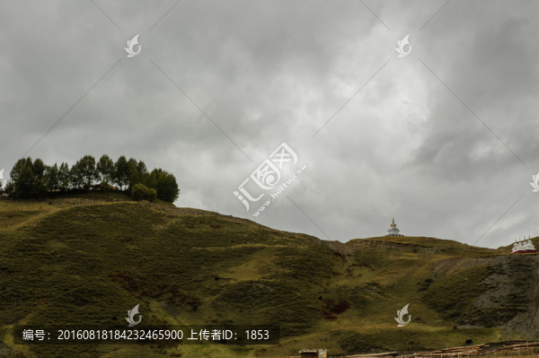 山上的樹林