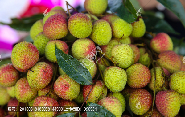 荔枝,水果
