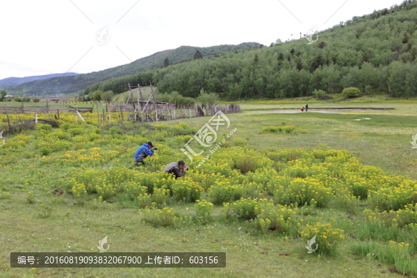碧沽天池