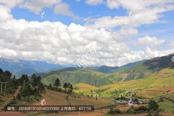 香格里拉