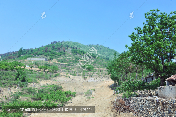 山區(qū)風(fēng)景