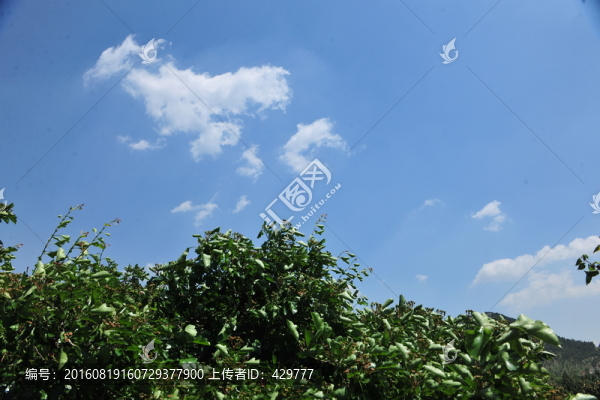 天空,藍(lán)天白云