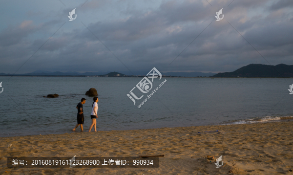 大樹島