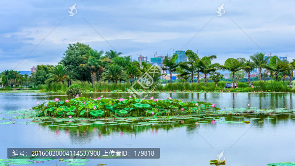 湖泉公園,云南彌勒