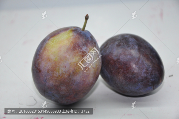 喜梅,果實(shí)
