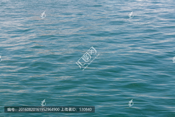 大海,海洋