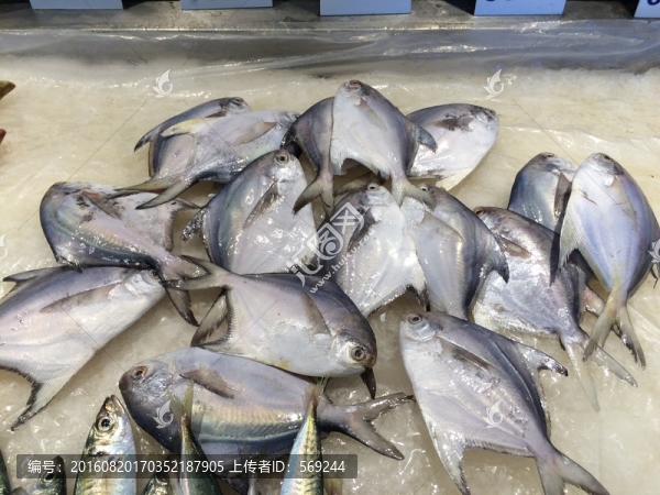 魚(yú)