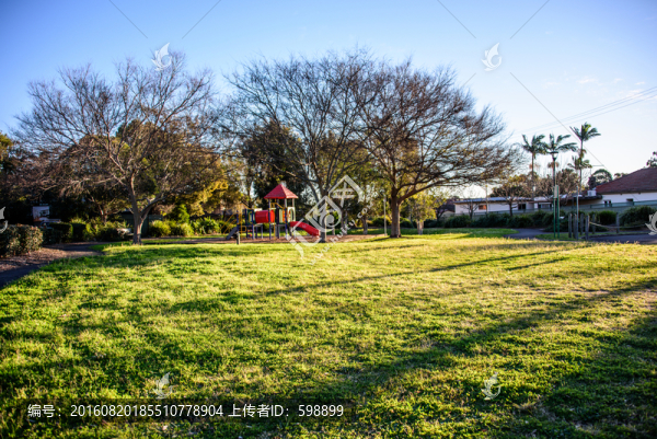 陽光公園草地