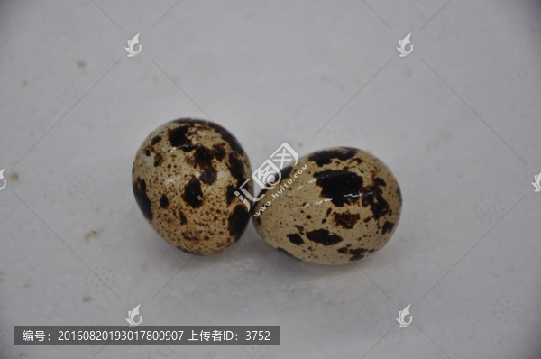 鵪鶉蛋