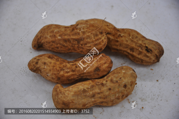 花生,生花生