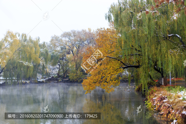 北大校園風(fēng)光未名湖秋色