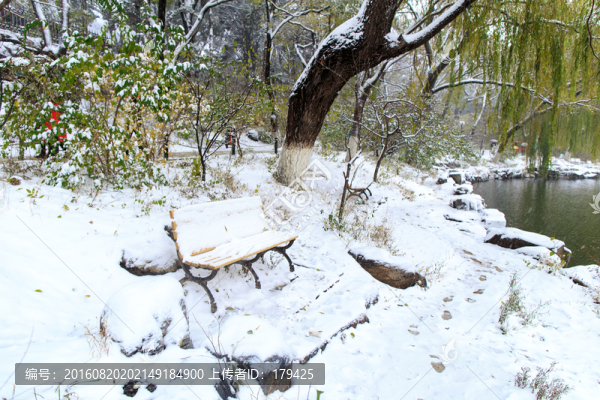 北大未名湖畔秋天雪景柳樹