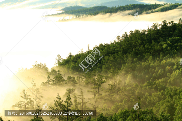 山林云海風(fēng)景