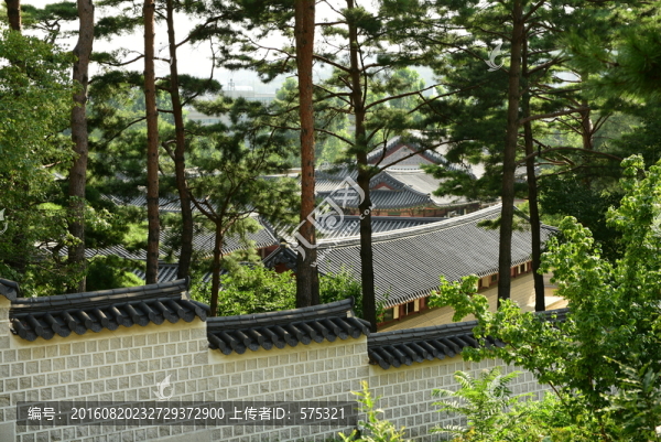 韓國景福宮,松樹古建