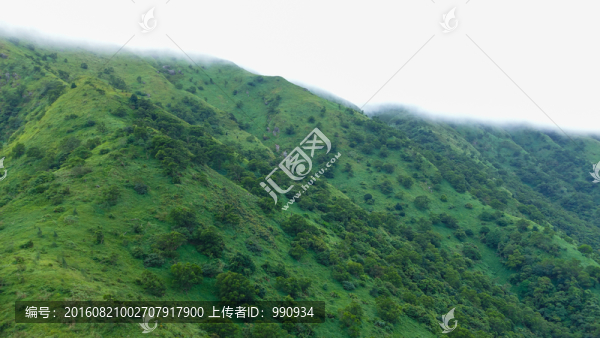 青山,山脈,云霧