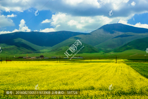 青海風(fēng)光
