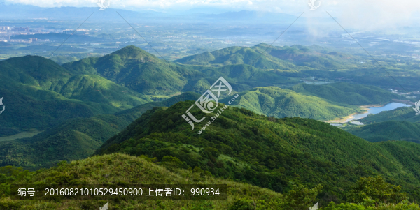大山,高山,樹林