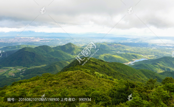 大山,高山,樹林