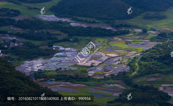 田野,稻田