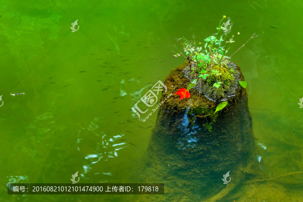 湖面,大圍山