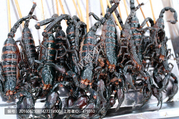 蝎子,油炸