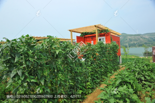集裝箱,特色旅游