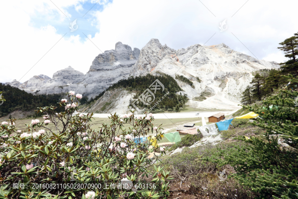 香格里拉大峽谷