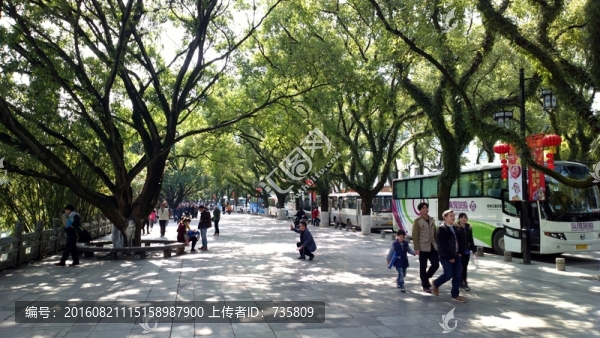 游客游人