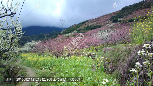 花