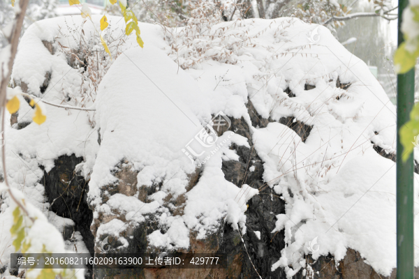 白雪,樹掛,積雪,銀裝素裹
