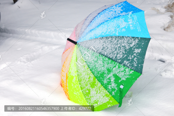 傘,雪地,冬雪