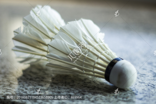 羽毛球