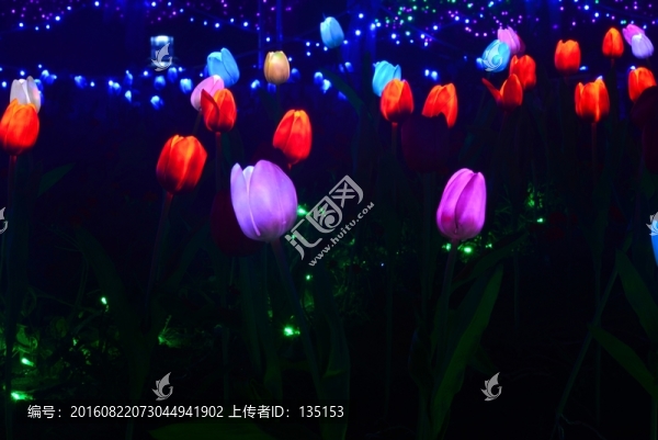 郁金香花燈