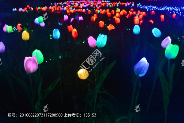 五顏六色的郁金香造形花燈