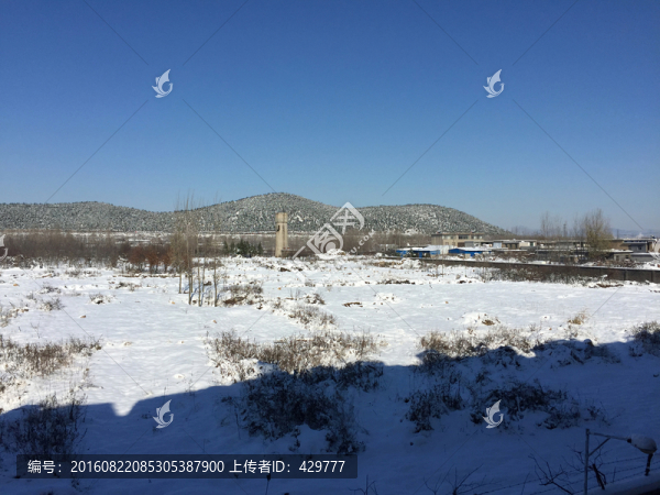 雪地,雪景