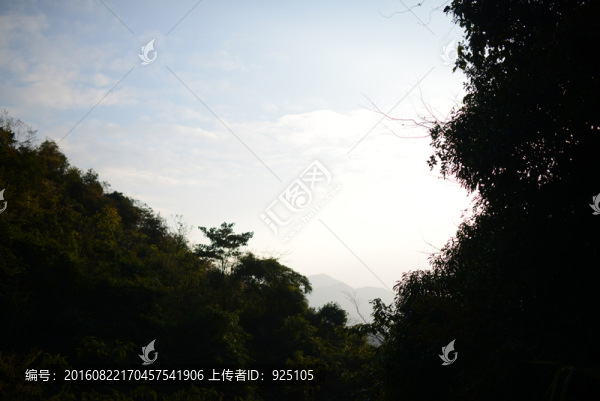 山中