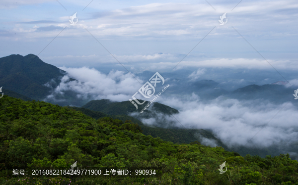 云海,云霧,日出