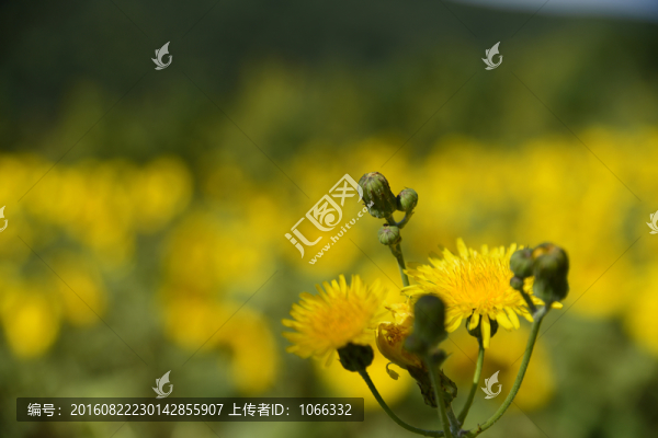 親王府