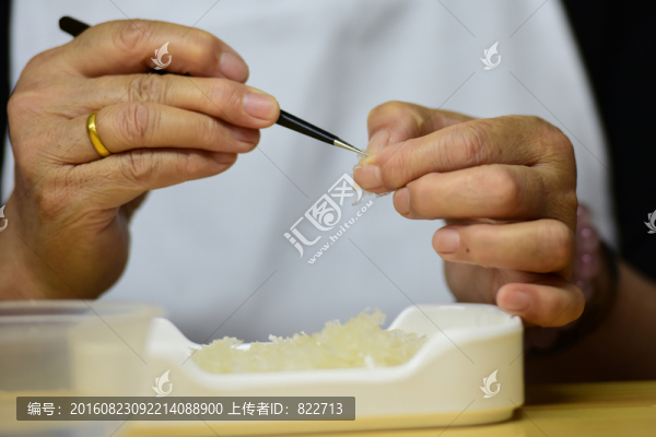 燕窩挑毛