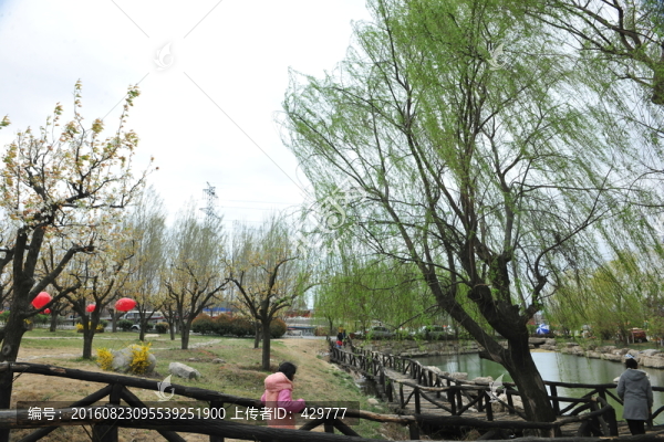 公園風(fēng)景,園林景觀,園林造景