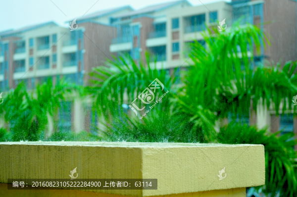 天氣,下雨,雨中倒影,雨絲
